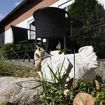 Cafehaven 3* Børglum
