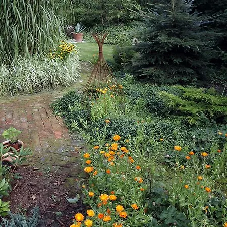 Cafehaven Bed & Breakfast Borglum