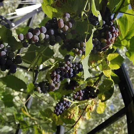 Cafehaven Bed & Breakfast