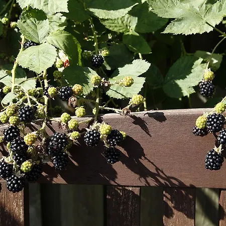 Cafehaven Bed & Breakfast