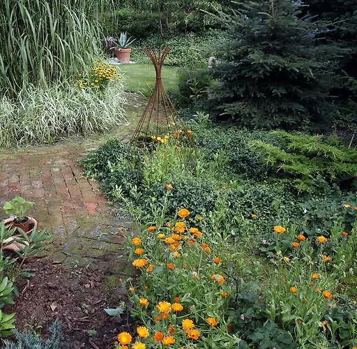 Cafehaven Bed and Breakfast Børglum